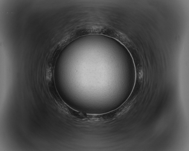 X0000085821204200703231349