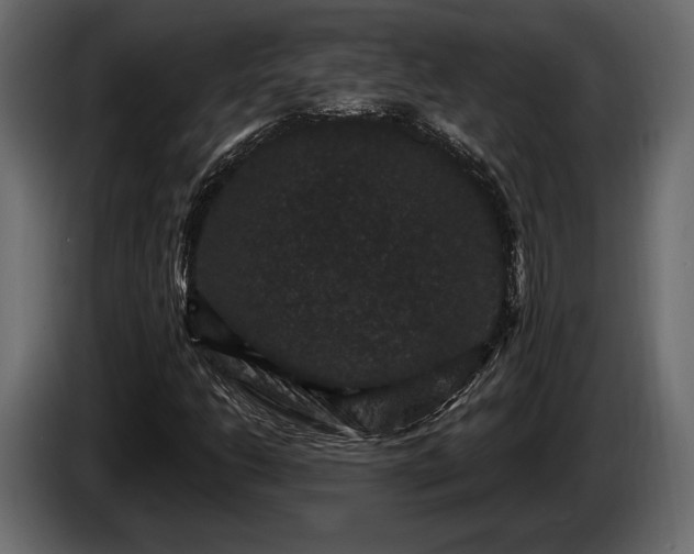 X0000085821206200703231349