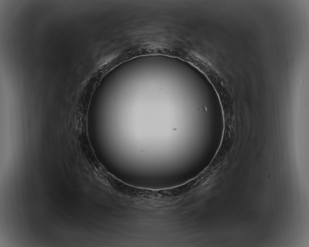 X0000085821207200703231349