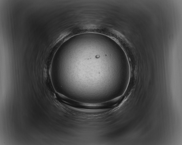 X0000085821209200703231349