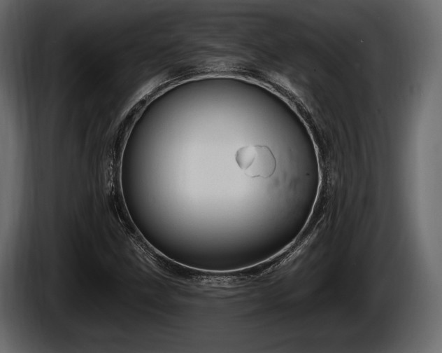 X0000085821211200703231349