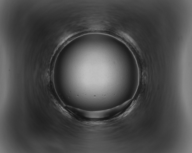 X0000085821212200703231349