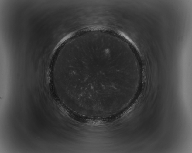 X0000085821213200703231349