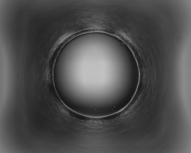X0000085821215200703231349