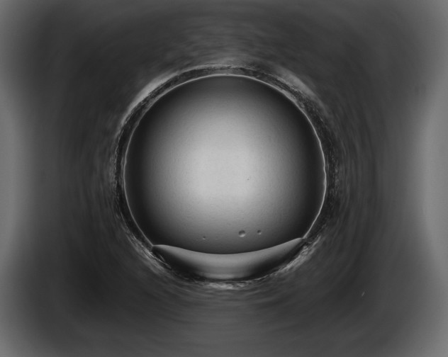 X0000085821216200703231349