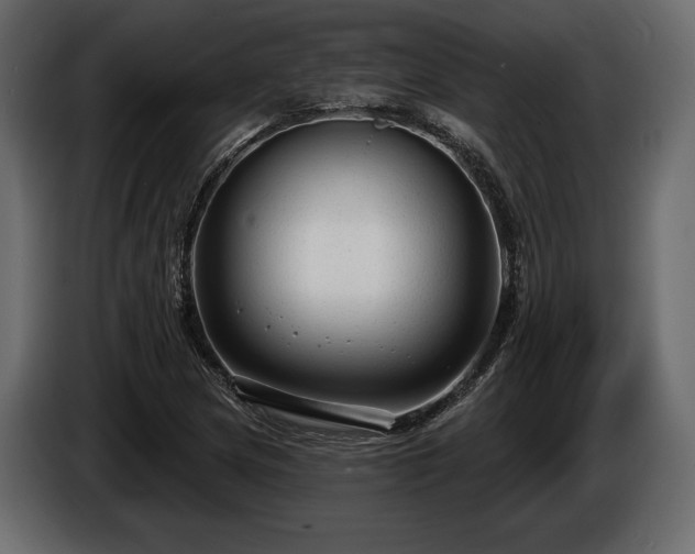X0000085821217200703231349