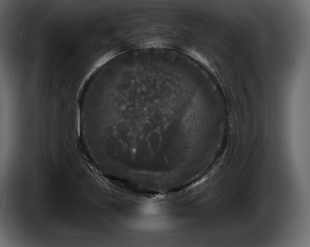 X0000085821219200703231349
