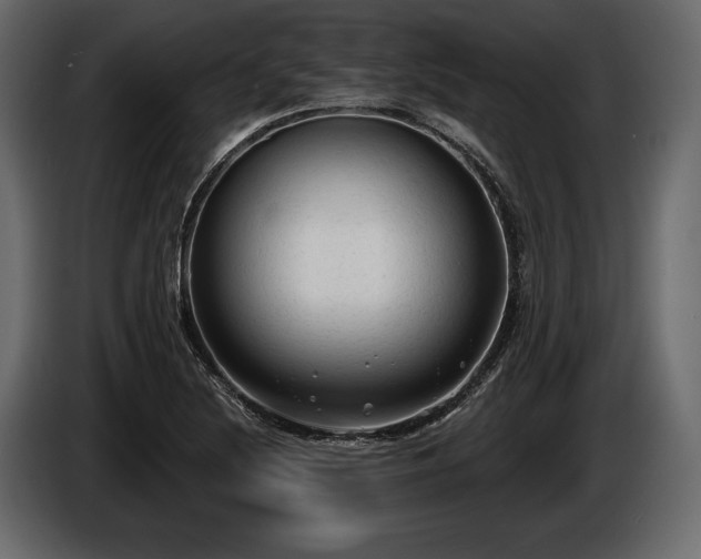 X0000085821220200703231349