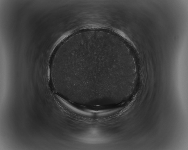 X0000085821221200703231349