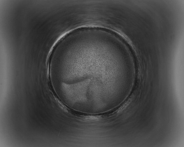 X0000085821224200703231349