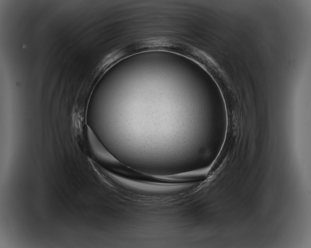X0000085821225200703231349