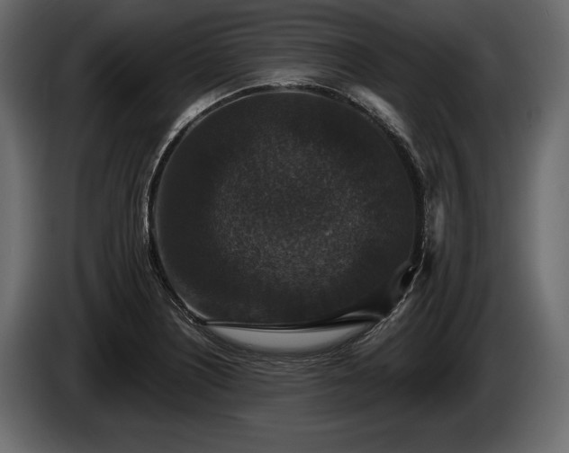 X0000085821226200703231349