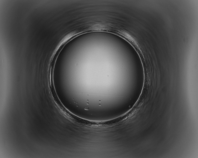 X0000085821227200703231350