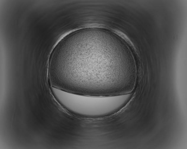 X0000085821228200703231350