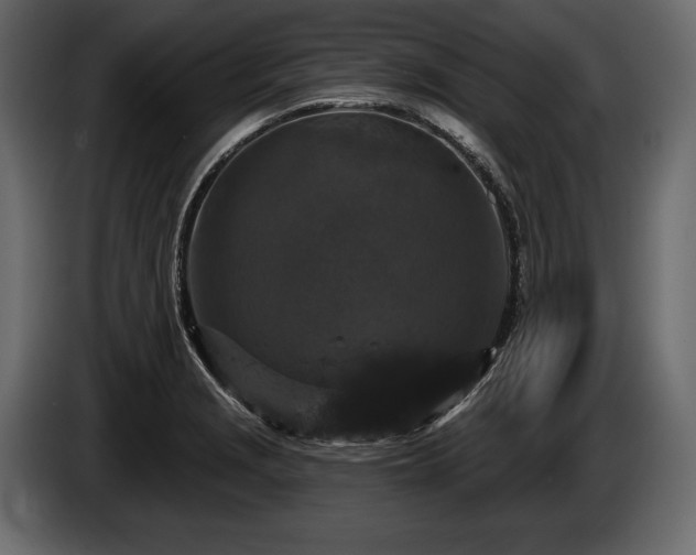 X0000085821229200703231350