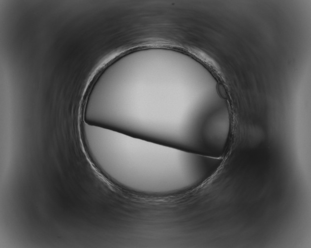 X0000085821231200703231350