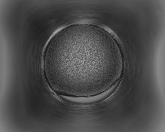 X0000085821232200703231350