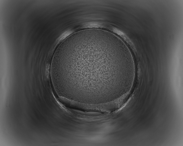 X0000085821233200703231350