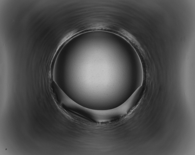 X0000085821234200703231350