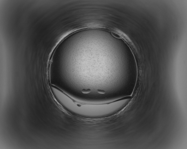 X0000085821236200703231350