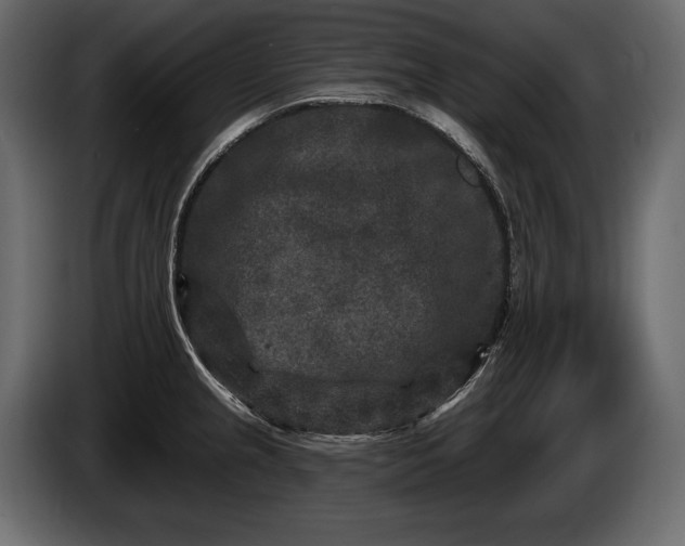 X0000085821237200703231350