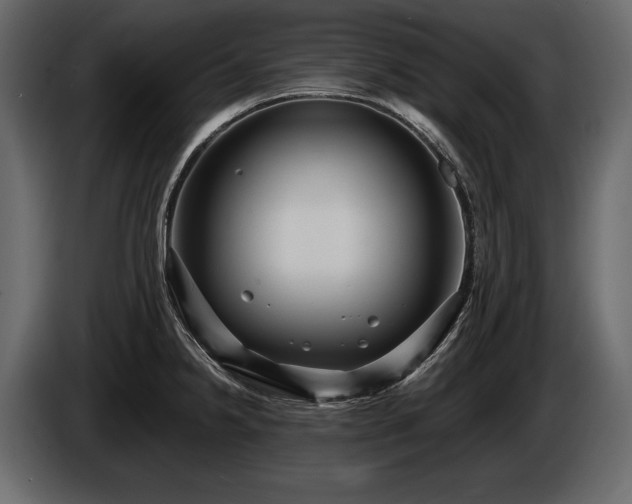 X0000085821238200703231350