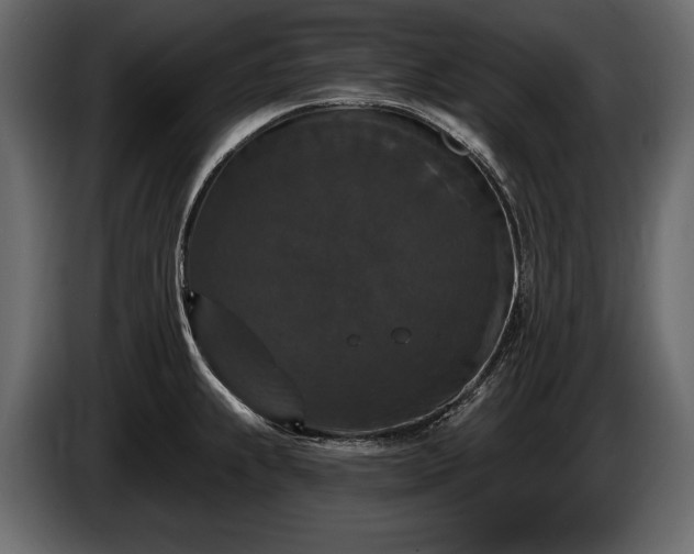X0000085821239200703231350