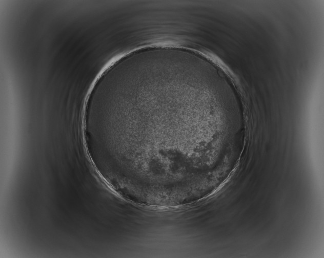 X0000085821240200703231350