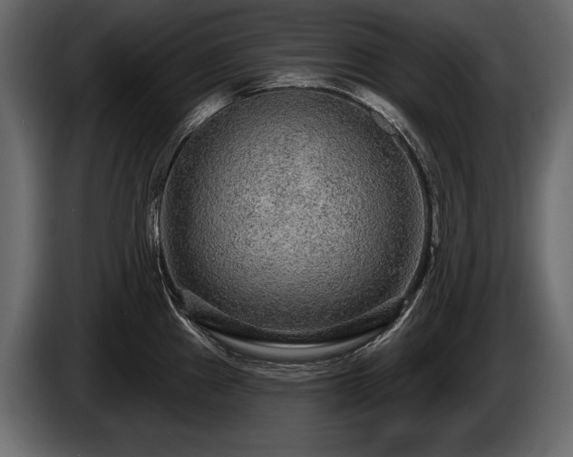 X0000085821241200703231350