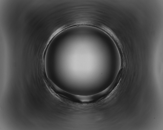 X0000085821242200703231350