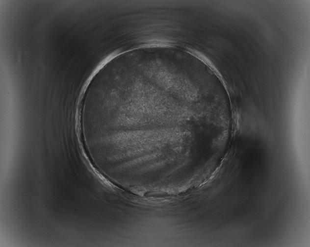 X0000085821243200703231350