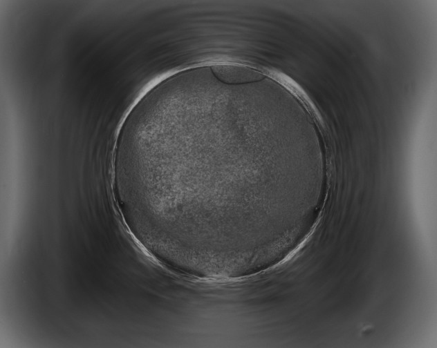 X0000085821244200703231350