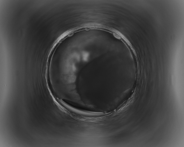 X0000085821245200703231350