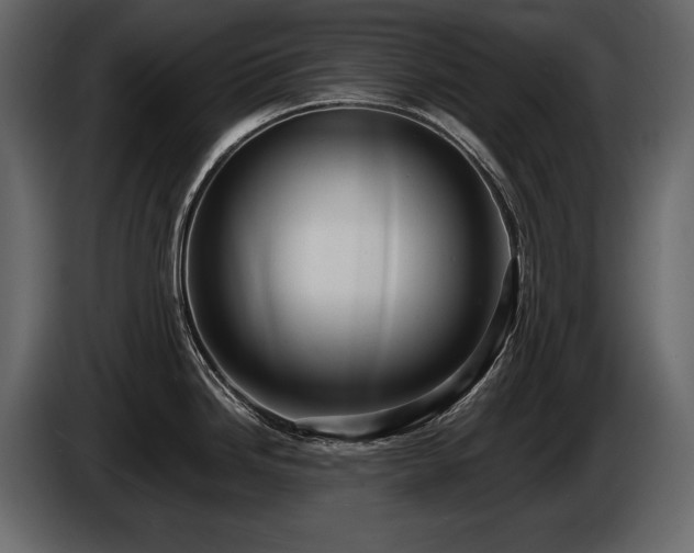 X0000085821246200703231350