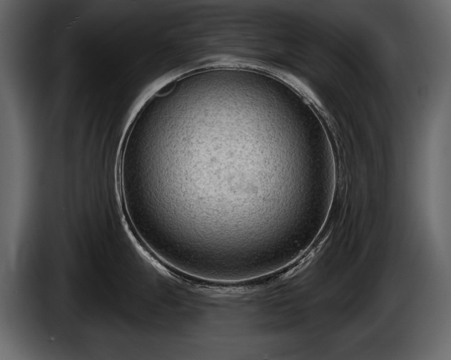 X0000085821247200703231350