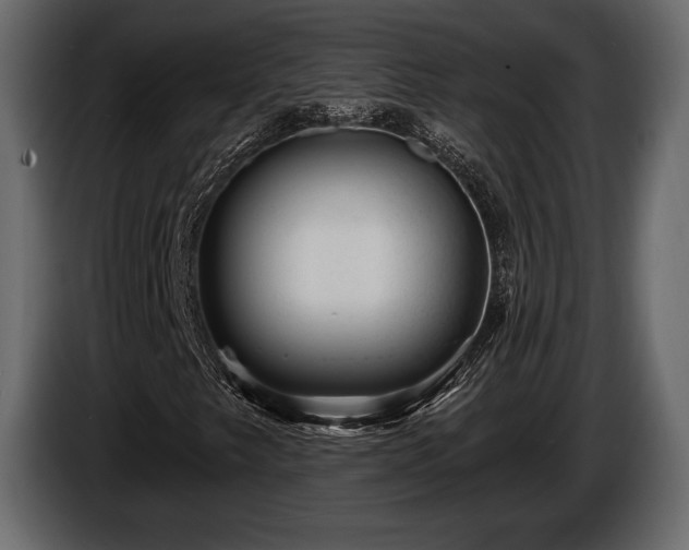 X0000085821249200703231349