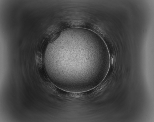 X0000085821251200703231349