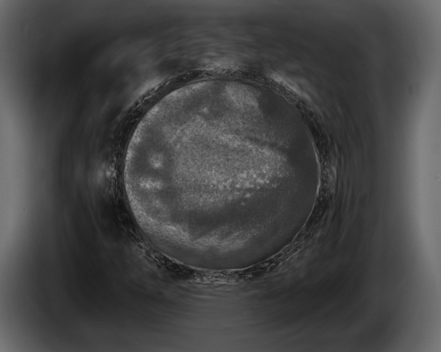 X0000085821254200703231349