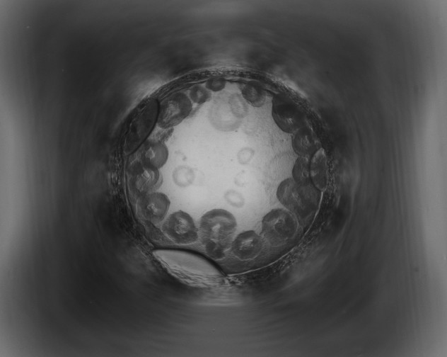 X0000085821255200703231349