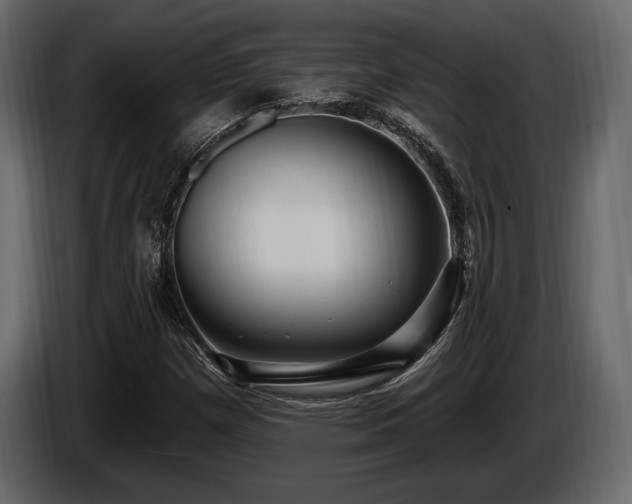 X0000085821257200703231349