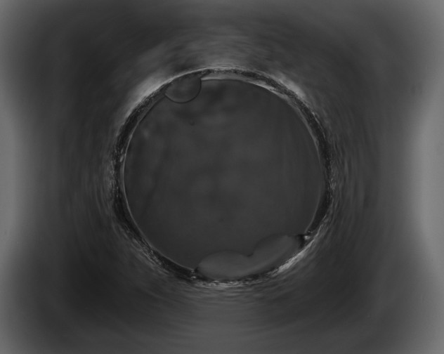 X0000085821263200703231349