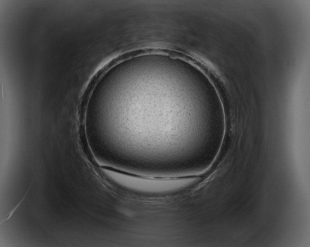 X0000085821264200703231349