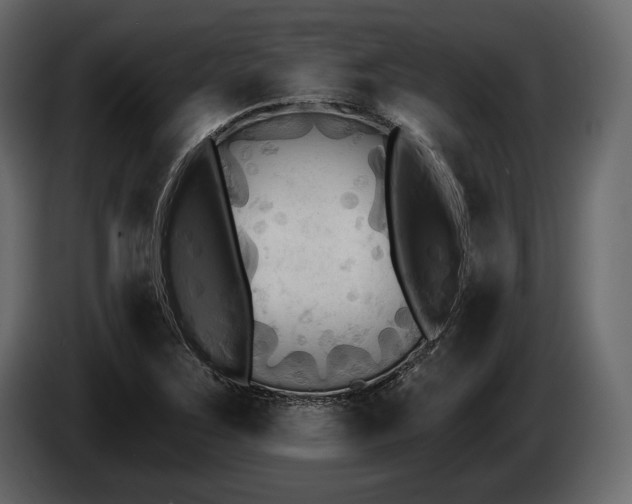 X0000085821267200703231349
