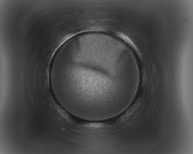 X0000085821268200703231349