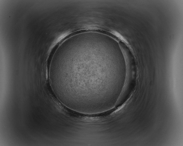 X0000085821269200703231349