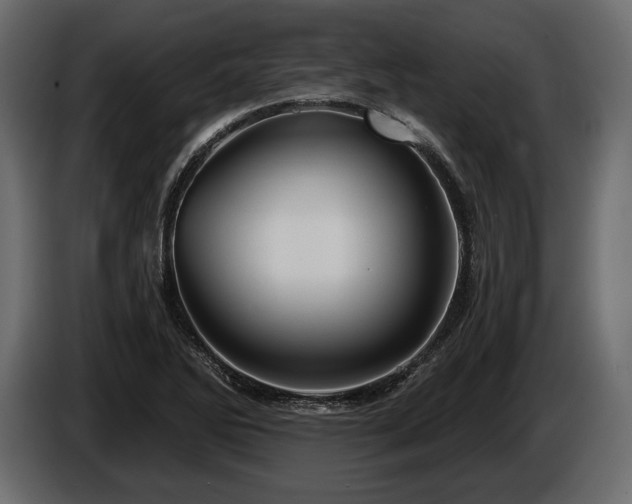 X0000085821270200703231349