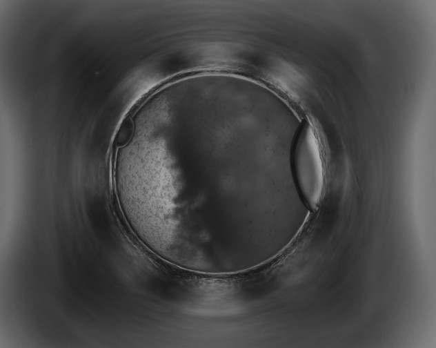 X0000085821275200703231349