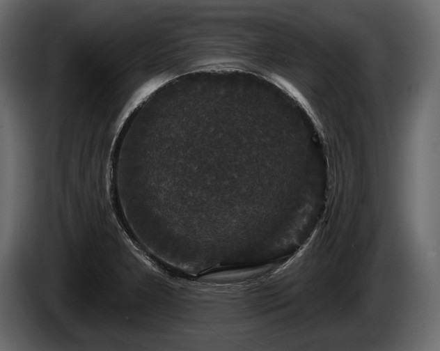 X0000085821277200703231349
