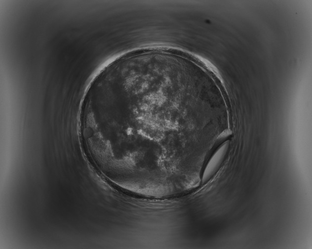 X0000085821279200703231349