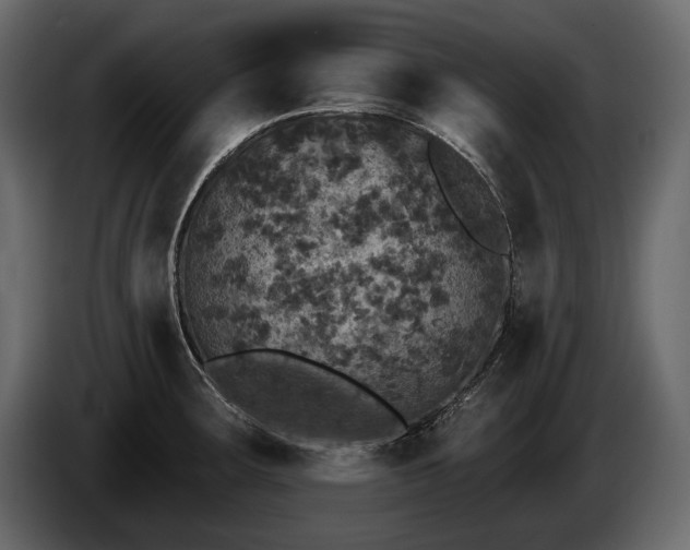X0000085821283200703231349